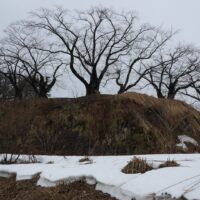 103.Namioka Castle Part2