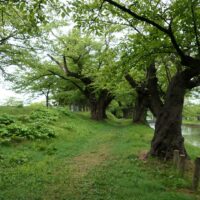 108.Tsurugaoka Castle Part2