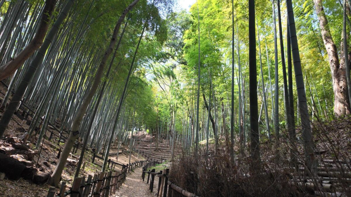 125.小机城　その２