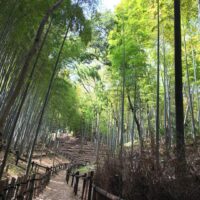 125.小机城　その２