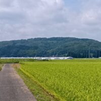 207.西方城　その２